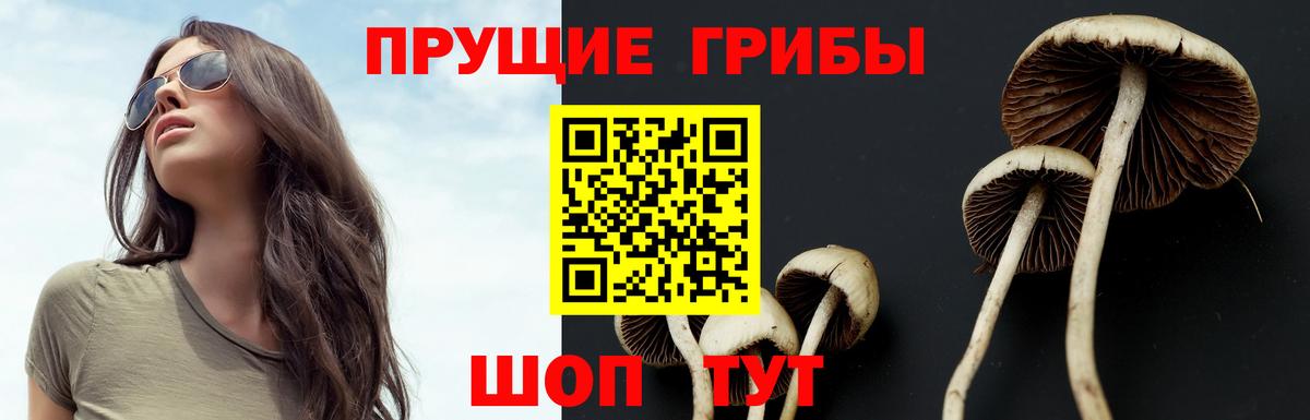 Галлюциногенные грибы прущие грибы  Вход с VPN  Галлюциногенные грибы Cubensis  наркошоп  Нальчик 